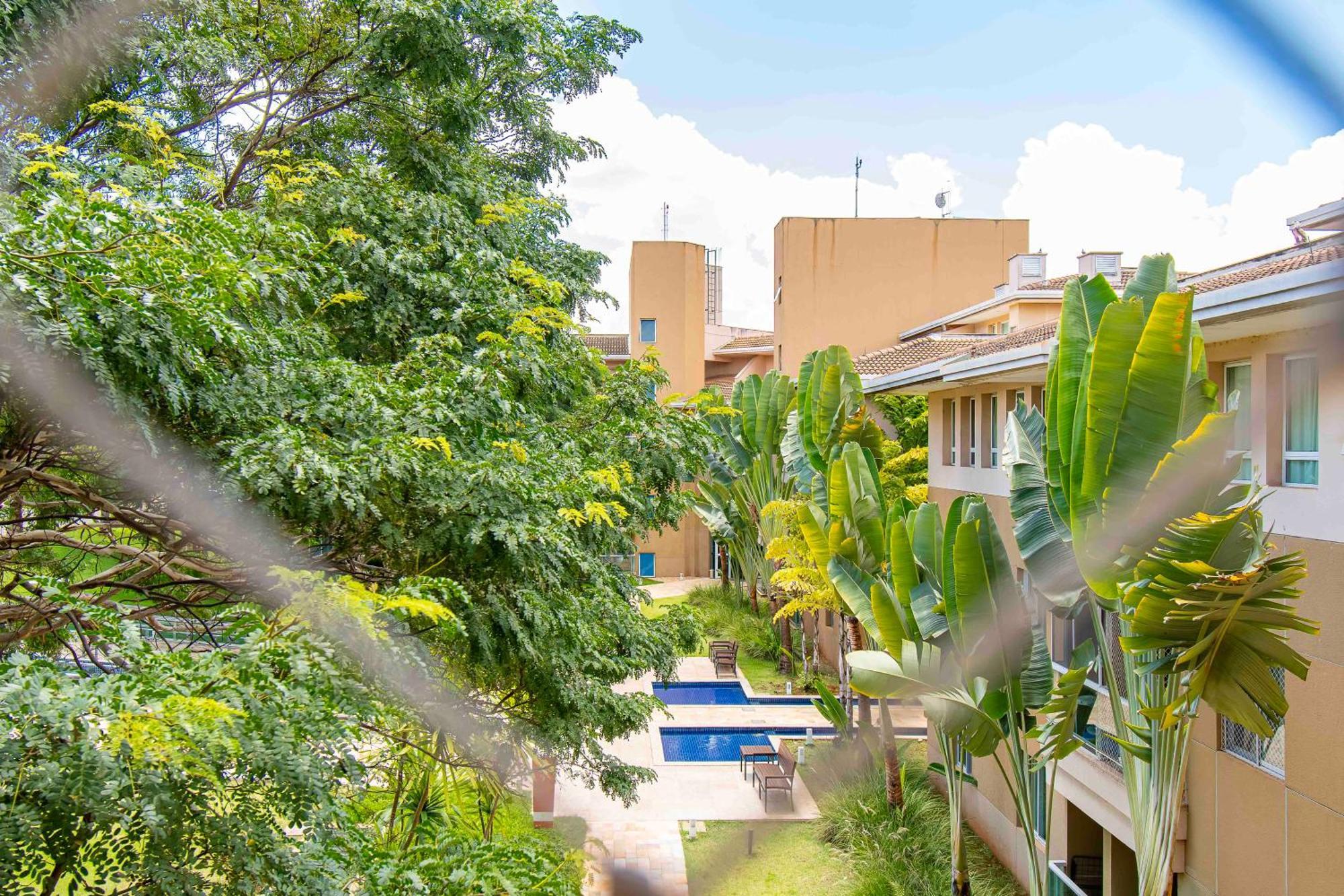 The Sun Diaria Brasil 65550 Brasilia